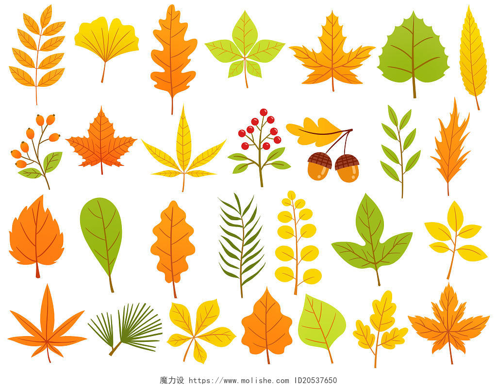 卡通彩色秋天植物树叶枫叶PNG插画素材